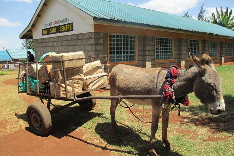 Perspektiven Ngong Kenya 1