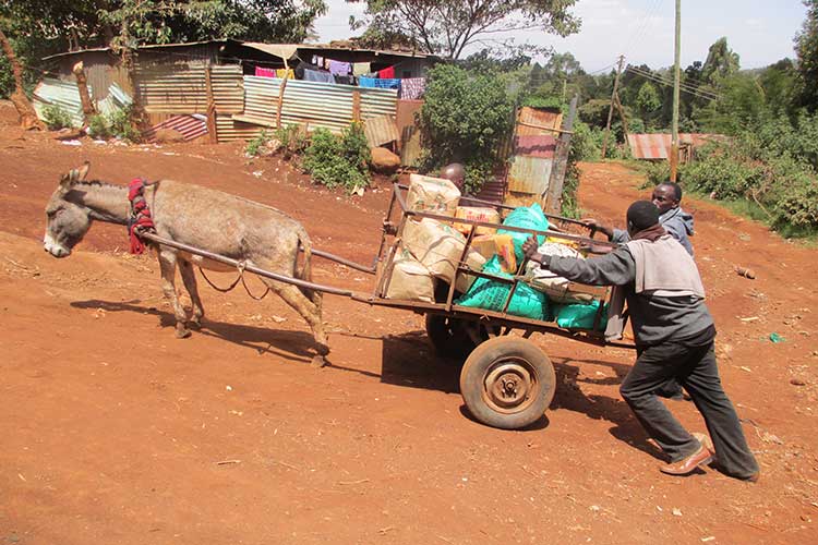 Perspektiven Ngong Kenya 2